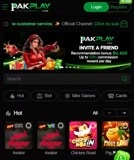 PakPlay Game